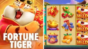 55Bet É Confiável? Tudo Sobre Segurança E Reputação