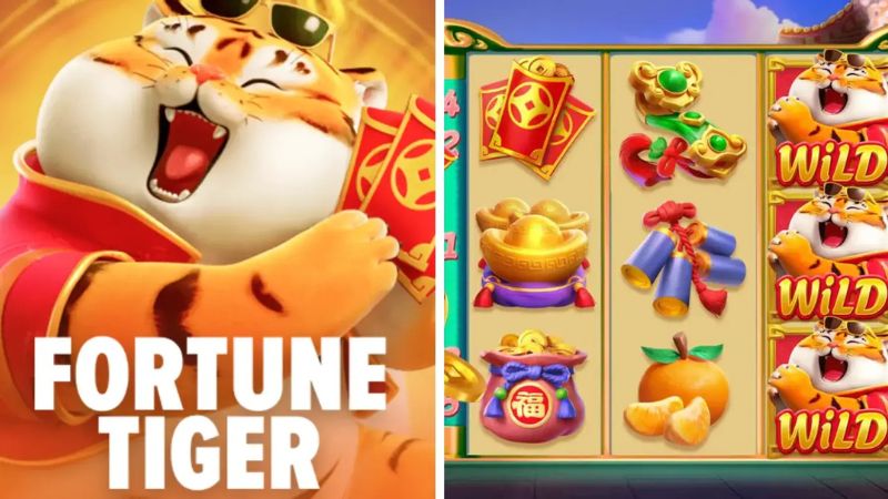 55Bet É Confiável? Tudo Sobre Segurança E Reputação